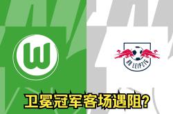 沃尔夫斯堡主场大捷，积分位置继续稳定